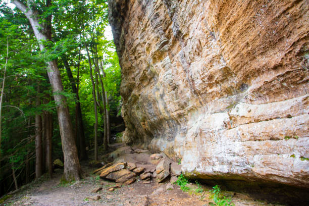 istock Massive, beautiful rock face in the woods 1168499734