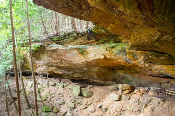 istock Massive, beautiful rock face in the woods 1168499754