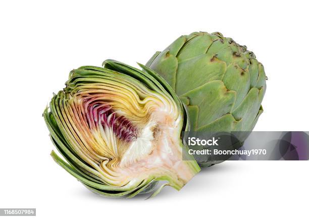 Artichoke Isolated On White Background Stock Photo - Download Image Now - Artichoke, White Background, Cut Out