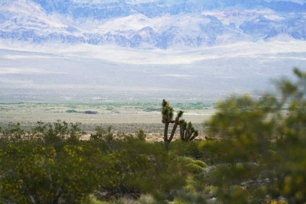 Snow Mountain and deserts in California and Nevada.