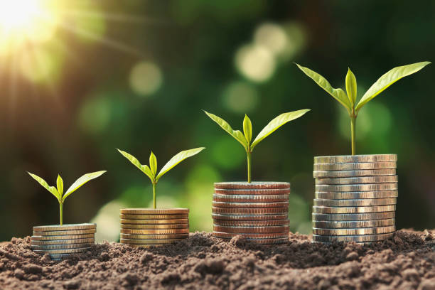 istock concept saving money. plant growing step with coins stack on dirt and sunshine in nature 1168513919