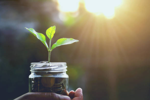 istock concept finance and accounting saving money 1168513920