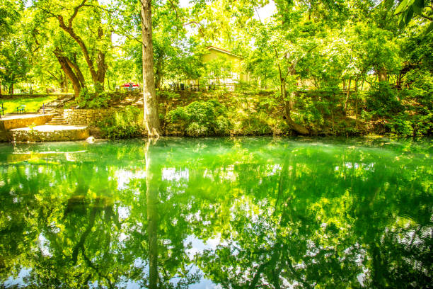 istock Pond in the forest landscape, nature reserve 1168516810