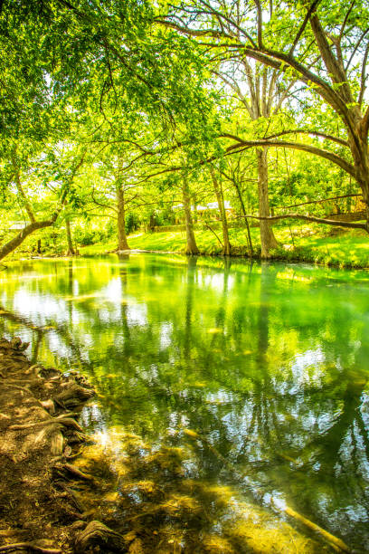 istock Pond in the forest landscape, nature reserve 1168517392