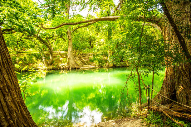 istock Pond in the forest landscape, nature reserve 1168517545