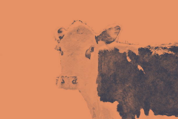 istock Soft Cow Portrait in Monochrome Effect 1168518465