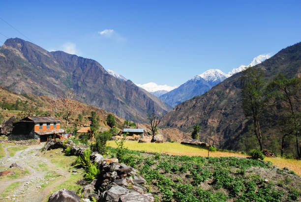 beautiful nature scenic landscape mountain view with rice field at annapurna circuit mountains - nepal landscape hiking rice imagens e fotografias de stock