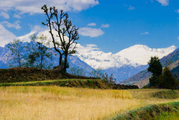 beautiful nature scenic landscape mountain view with rice field at annapurna circuit mountains - nepal landscape hiking rice imagens e fotografias de stock
