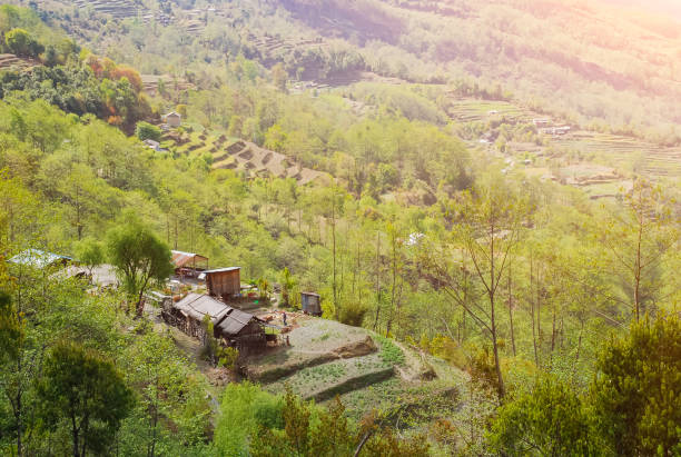 beautiful nature scenic landscape mountain view with rice field at annapurna circuit mountains - nepal landscape hiking rice imagens e fotografias de stock