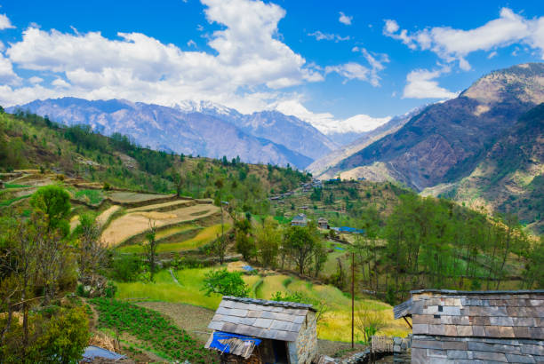 beautiful nature scenic landscape mountain view with rice field at annapurna circuit mountains - nepal landscape hiking rice imagens e fotografias de stock