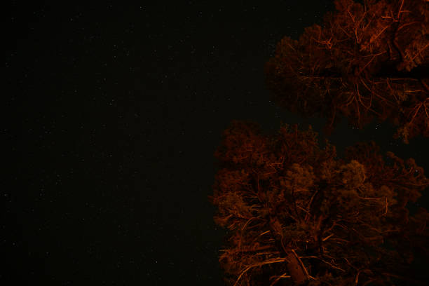 istock The starry sky in the American mountains. 1168520706