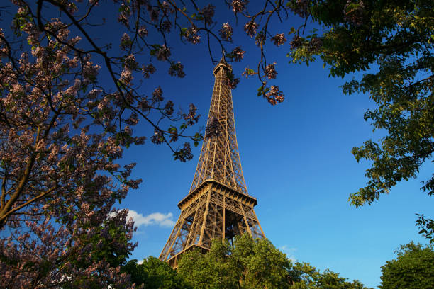 istock Eiffel Tower in France. 1168521612