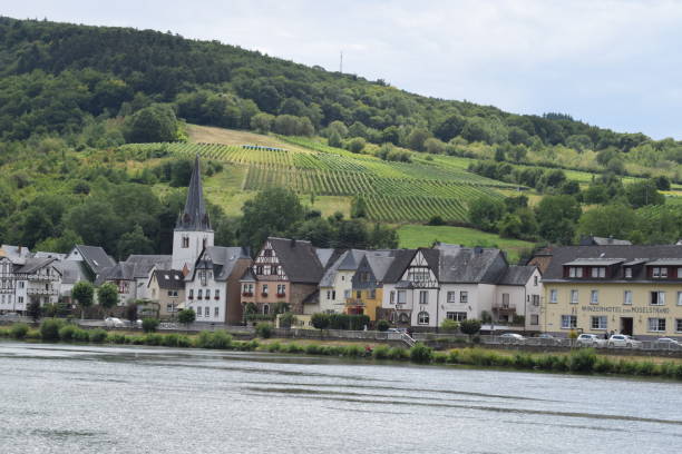 istock Mosel valley, village Brieden 1168523848