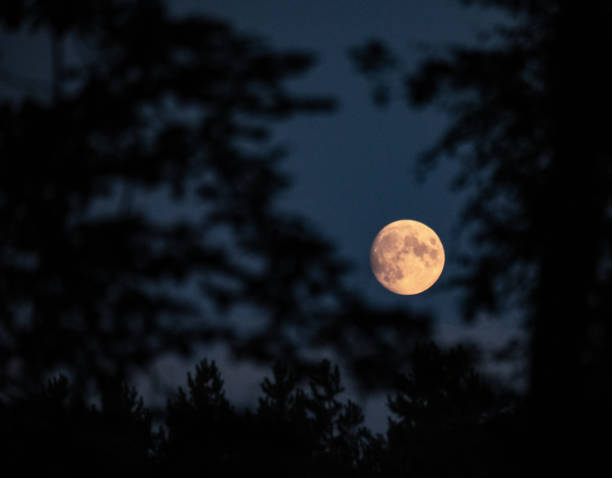 istock The rising Moon, Thetford 1168525647
