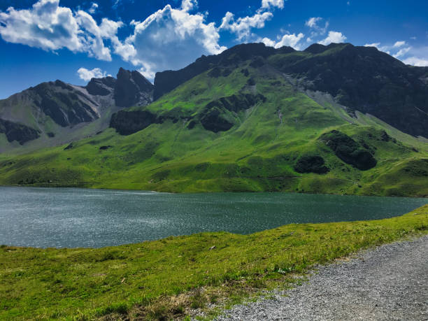 istock Beautiful nature in the swiss 1168527933