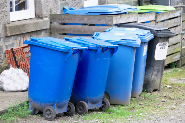 istock Blue wheelie council bins outside house 1168531874