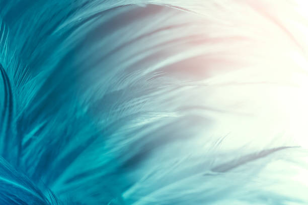 istock Green turquoise color trends chicken feather texture background,Light orange 1168537699
