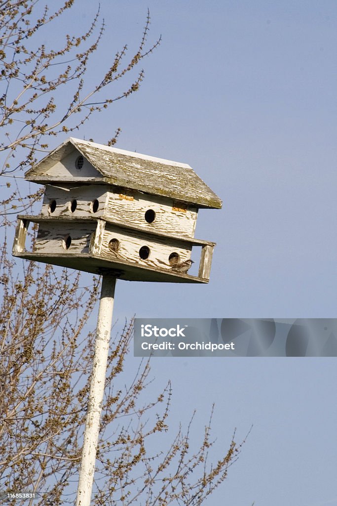 Bird apartment  Animal Nest Stock Photo