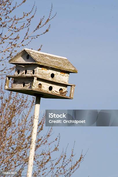 Bird Apartment Stock Photo - Download Image Now - Animal Nest, Birch Tree, Bird