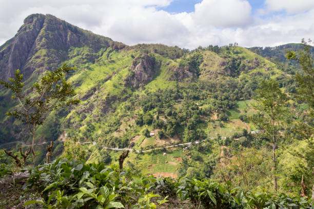 istock Mountain view near Ella, Sri Lanka 1168539264