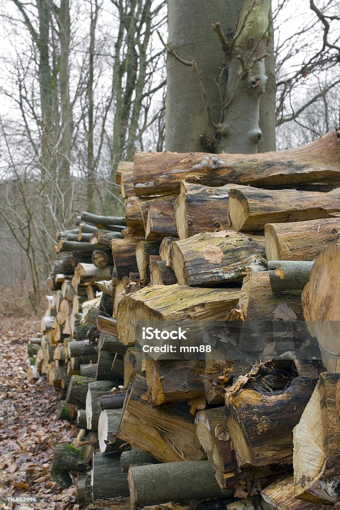 firewood  Autumn Stock Photo