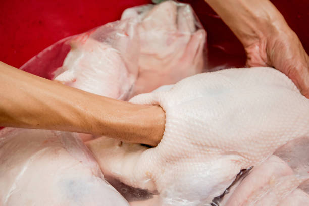 istock Roasted duck, gill duck, Chinese food 1168543633