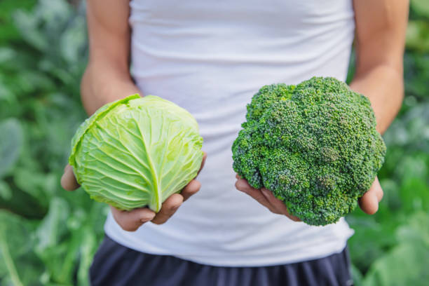 man farmer with cabbage and broccoli in his hands. selective focus. - kohlrabi turnip cultivated vegetable imagens e fotografias de stock