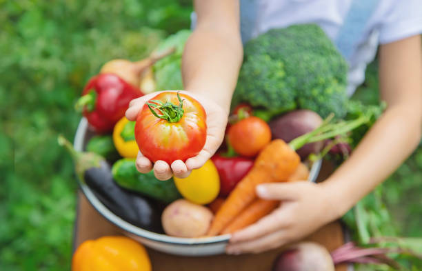 istock Child in the garden with vegetables in his hands. Selective focus. 1168543747