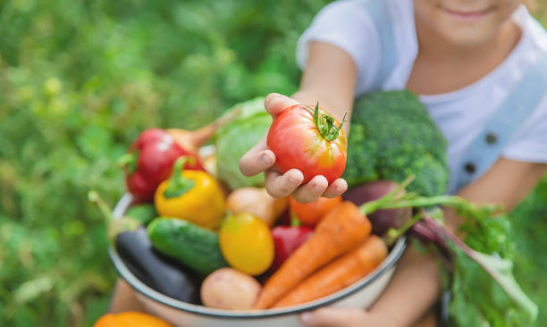 Child in the garden with vegetables in his hands. Selective focus.