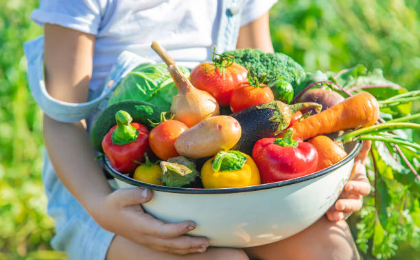 istock Child in the garden with vegetables in his hands. Selective focus. 1168543769