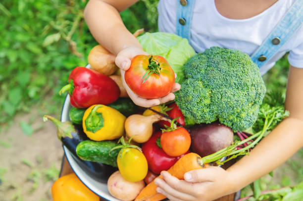 istock Child in the garden with vegetables in his hands. Selective focus. 1168543787