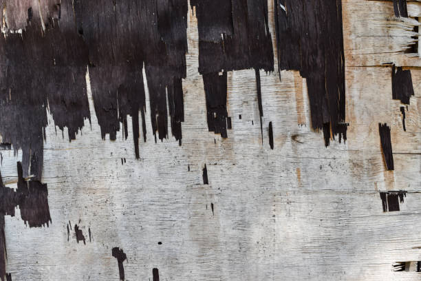 istock Plywood plank with peeling. 1168546520