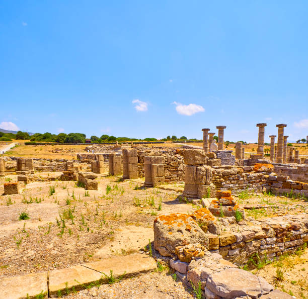 istock Baelo Claudia Archaeological Site. Rate, Cadiz, Andalusia, Spain. 1168547627