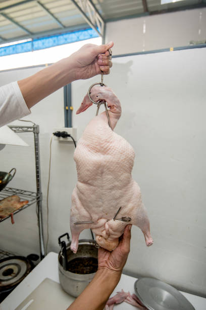 istock Roasted duck, gill duck, Chinese food 1168548688
