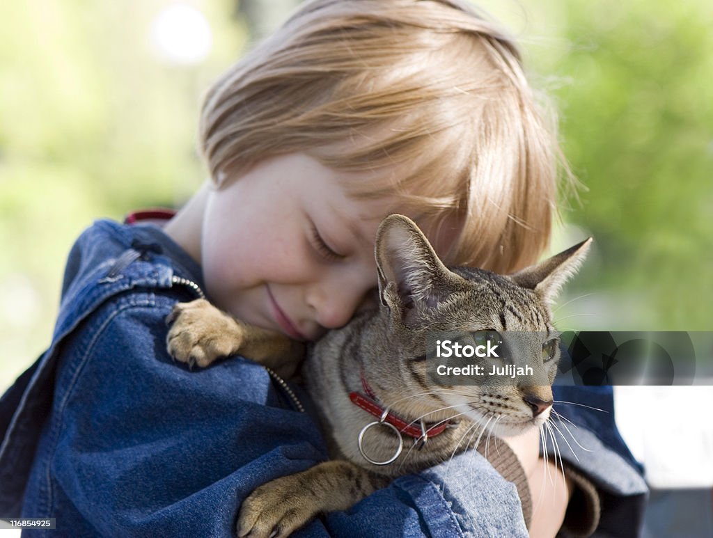 Блондинка мальчик с Восточная Выведенные cat - Стоковые фото Домашняя кошка роялти-фри