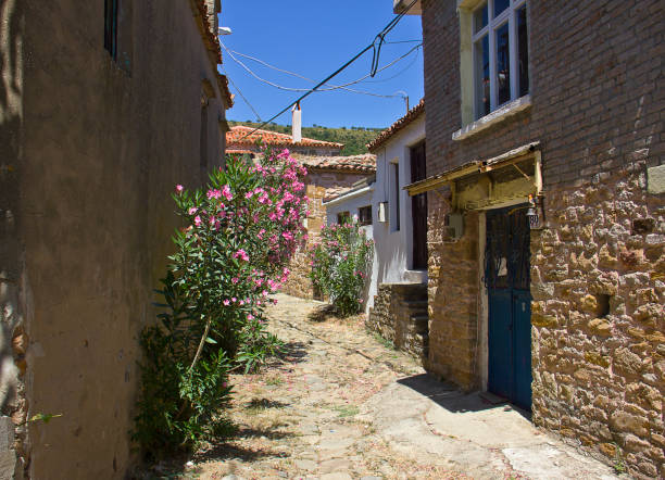 istock Gokceada (Imroz) Tepekoy Zeytinlikoy Derekoy 1168549745