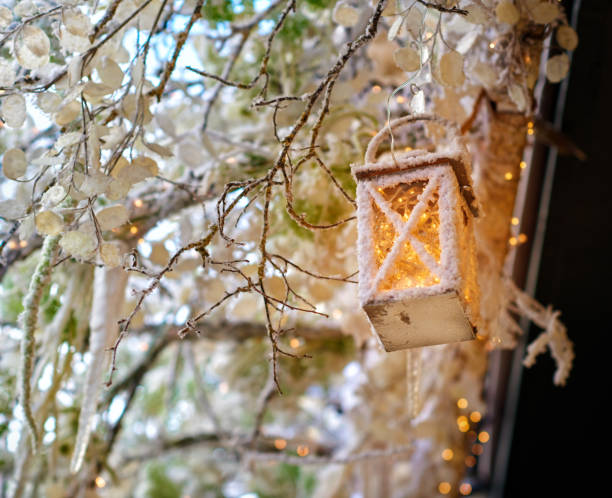 istock Winter time in the garden 1168554811