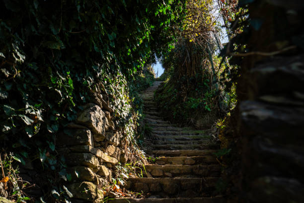 istock Stair Path on the hiking trail from Monterosso, Cinque Terre, Italy 1168556490