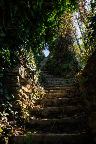 istock Stair Path on the hiking trail from Monterosso, Cinque Terre, Italy 1168557008