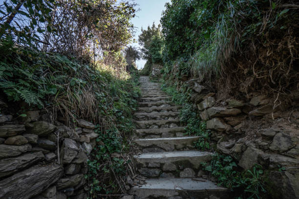 istock Stair Path on the hiking trail from Monterosso, Cinque Terre, Italy 1168557048