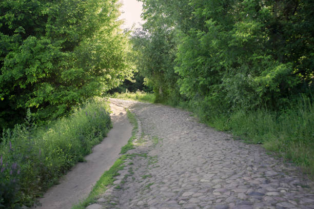 istock Old forest cobblestone road in the forest 1168558270