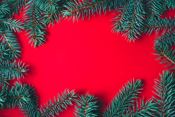 istock Fir branches on red background. Christmas wallpaper. 1168558848