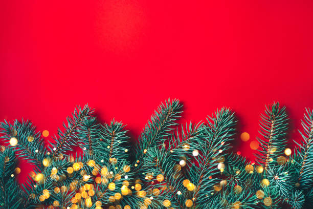 istock Fir branches on red background. Christmas wallpaper. 1168558854