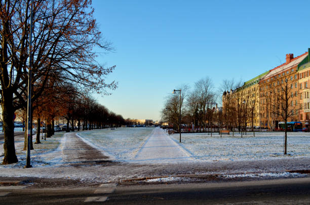 istock Roads in the park covered with snow on a sunny day. 1168558893