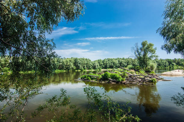 istock Blue lake among green trees 1168561409