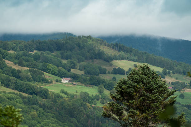istock Landscape with Mountains and Forest 1168561523