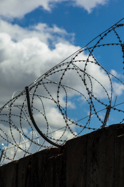 istock Strained sharp barbed wire on top of a fence silhouette. 1168563361