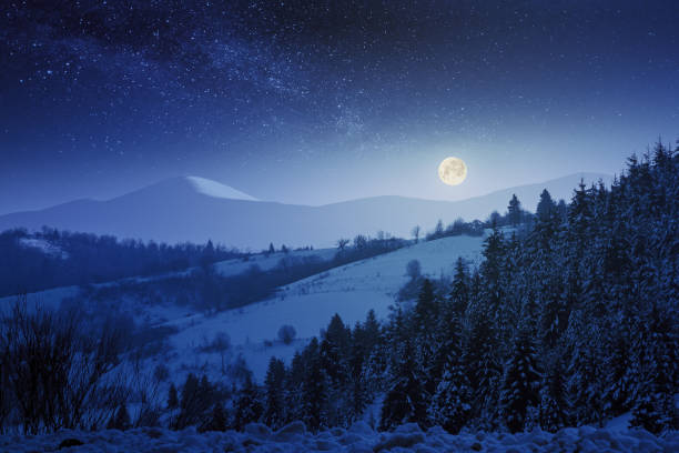 istock wonderful winter night scenery in mountains 1168563416