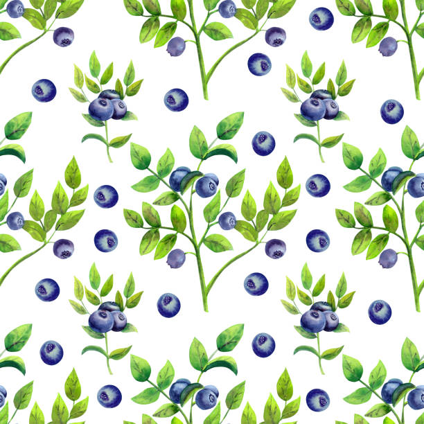 istock Seamless pattern with ripe blueberries on white isolated background. Watercolor illustration. 1168563739