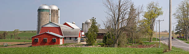 istock Red Barn With Silos and Cows in Spring Panorama 116856445